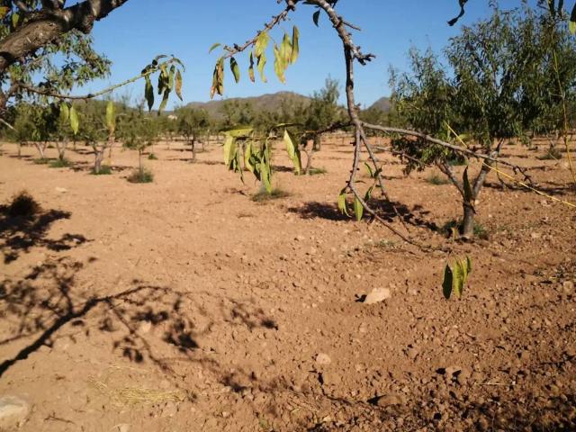 Terreno en venta en La Magdalena, Campo de Cartagena y Mar Menor