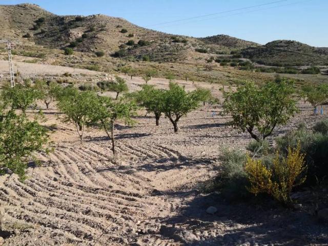 Terreno en venta en Los Puertos de Santa Bárbara, Campo de Cartagena y Mar Menor