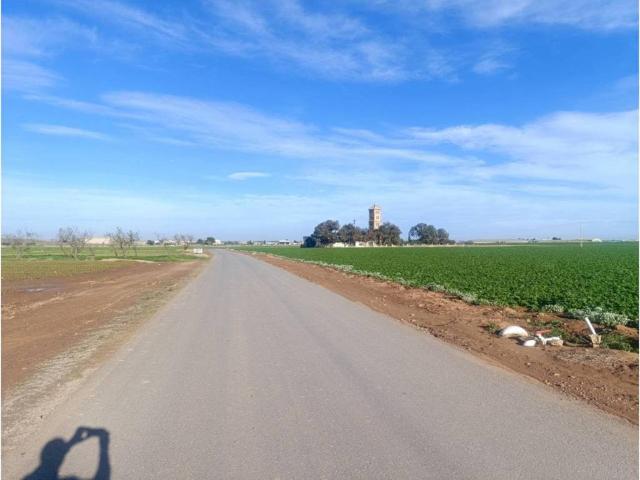 Terreno en venta en La Aljorra, Campo de Cartagena y Mar Menor