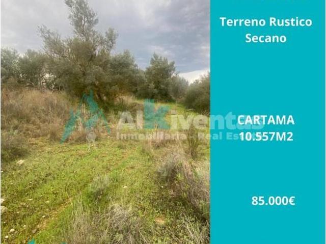 Terreno en venta en Cártama