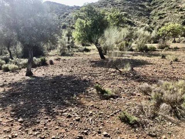 Terreno en venta en Valle del Guadalhorce, Andalucía