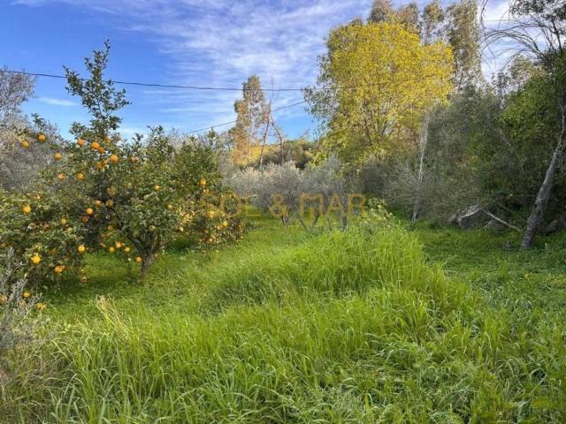 Terreno en venta en Valle del Guadalhorce, Andalucía
