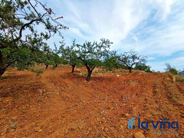 Terreno en venta en Antequera, Andalucía