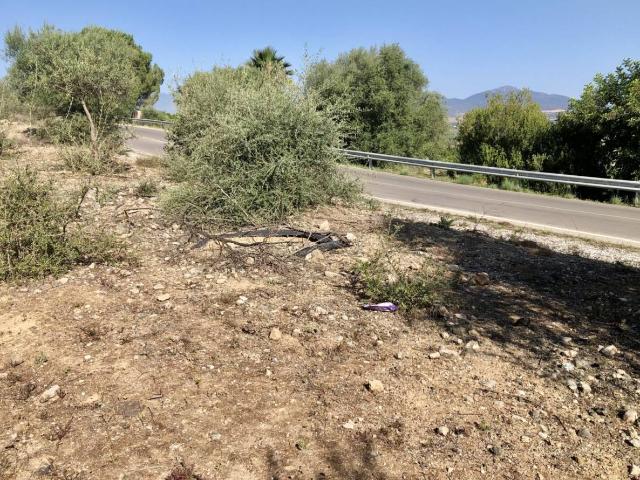 Terreno en venta en Cártama, Ampliación de Cártama