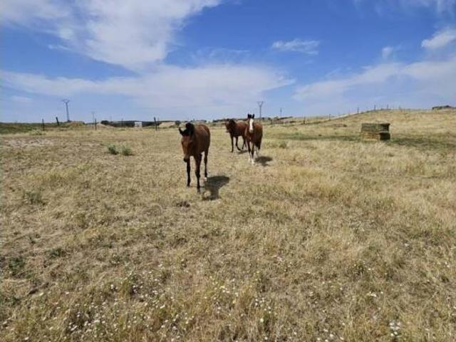 Terreno en venta en Casar De Cáceres, Extremadura