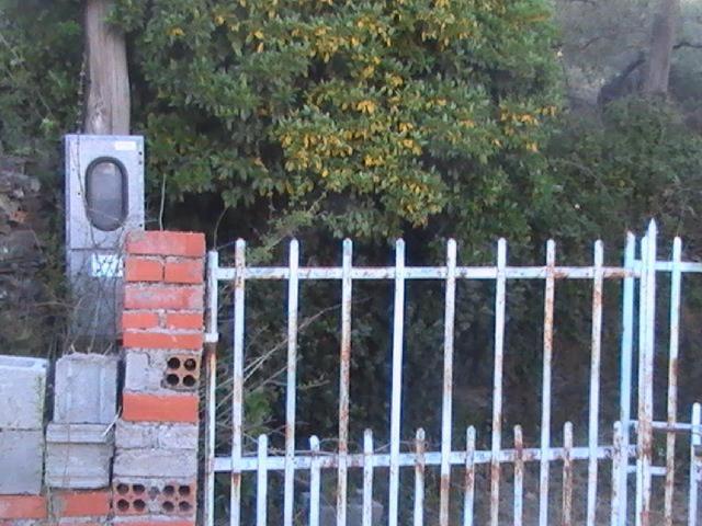 Terreno en venta en Casar De Palomero, Extremadura