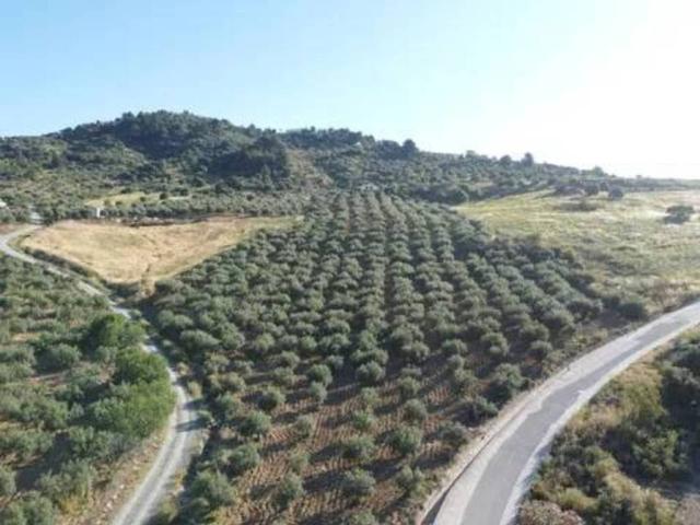Terreno en venta en Sierra de las Nieves, Andalucía