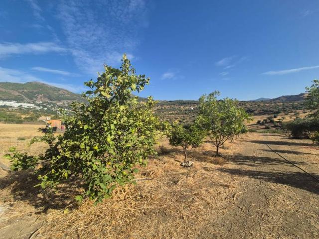 Terreno en venta en Sierra de las Nieves, Andalucía