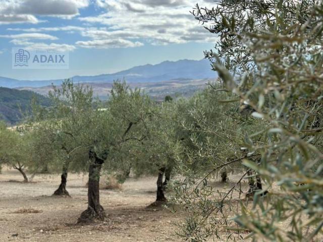 Terreno en venta en Casarabonela