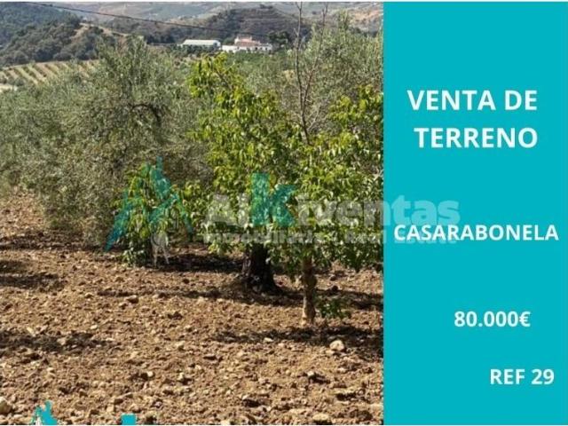 Terreno en venta en Casarabonela