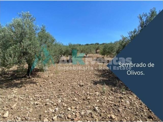 Terreno en venta en Sierra de las Nieves, Andalucía