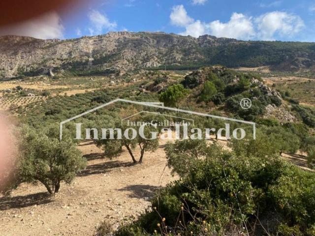 Terreno en venta en Casarabonela