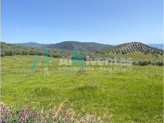 Terreno en venta en Sierra de las Nieves, Andalucía