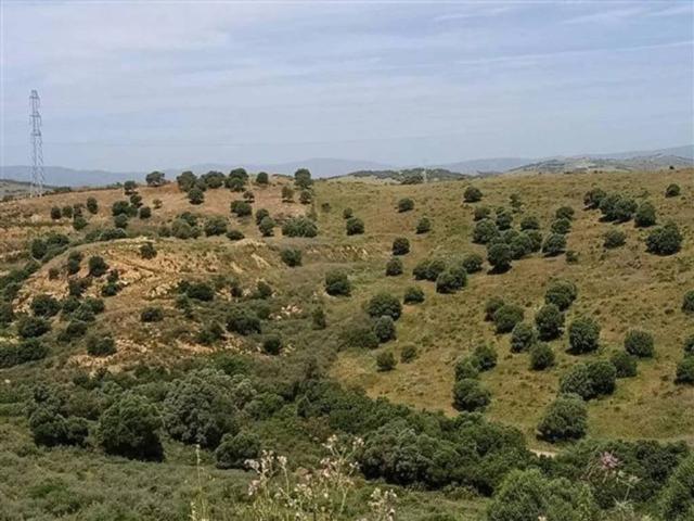 Terreno en venta en Costa del Sol Occidental, Andalucía