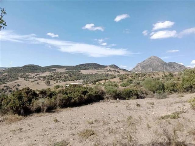 Terreno en venta en Costa del Sol Occidental, Andalucía