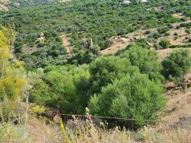 Terreno en venta en Costa del Sol Occidental, Andalucía