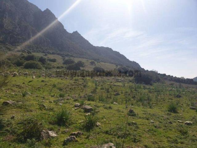 Terreno en venta en Costa del Sol Occidental, Andalucía