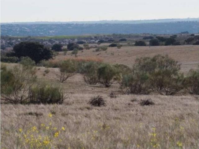 Terreno en venta en Casarrubios Del Monte, Castilla-La Mancha