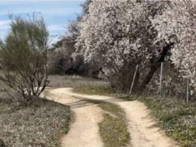Terreno en venta en Casarrubios Del Monte, Castilla-La Mancha