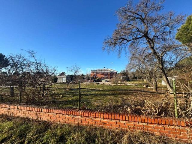 Terreno en venta en Casarrubios Del Monte, Castilla-La Mancha