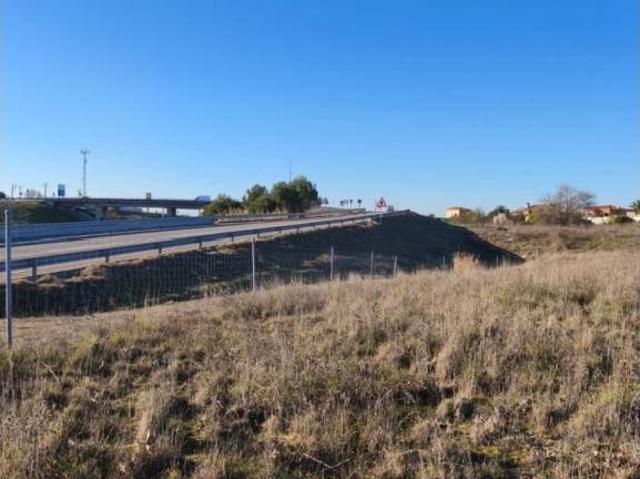 Terreno en venta en Casarrubios Del Monte, Toledo