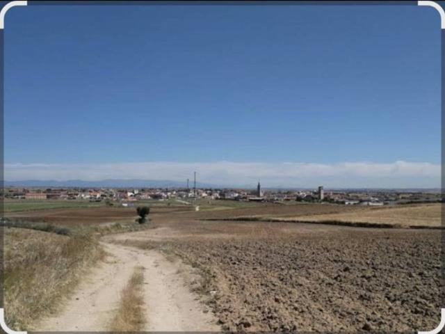 Terreno en venta en Casarrubios Del Monte, Castilla-La Mancha
