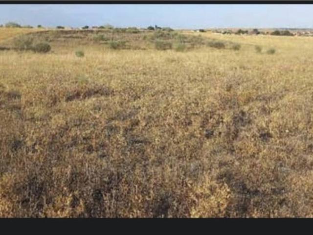 Terreno en venta en Casarrubios Del Monte, Castilla-La Mancha