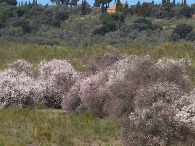 Terreno en venta en El Álamo, Madrid