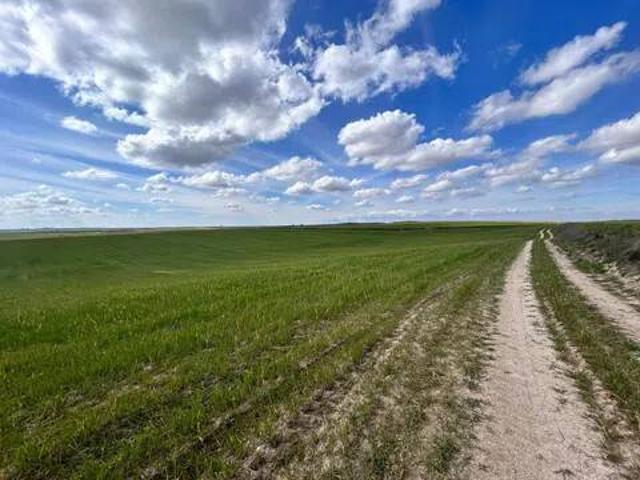 Terreno en venta en Casarrubios Del Monte, Castilla-La Mancha