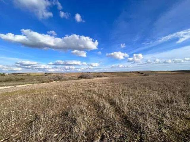 Terreno en venta en Casarrubios Del Monte, Castilla-La Mancha