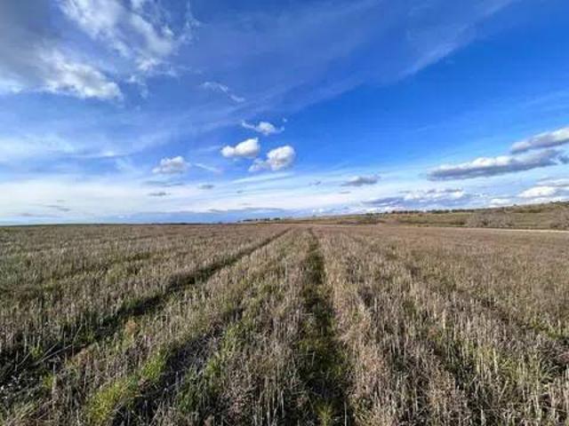Terreno en venta en Casarrubios Del Monte, Castilla-La Mancha