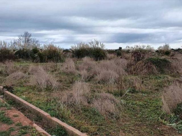 Terreno en venta en Casas Bajas, Valencia