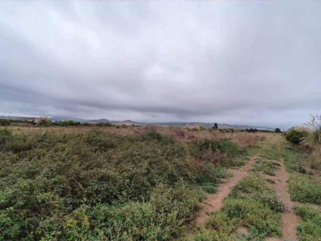 Terreno en venta en Casas Bajas, Valencia