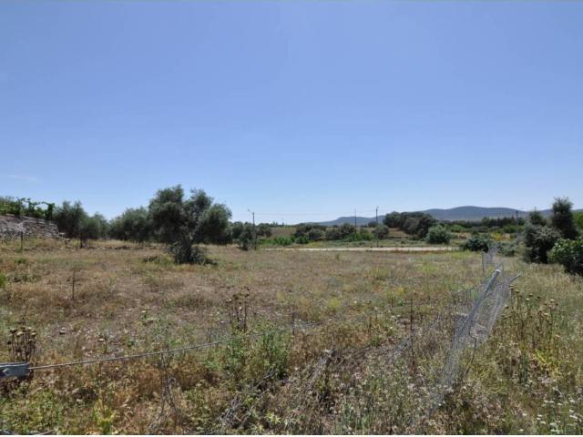 Terreno en venta en Casas De Don Antonio, Extremadura