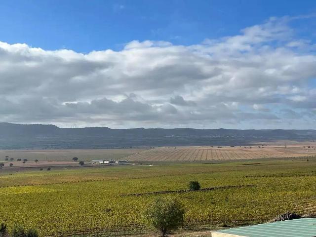 Terreno en venta en Casas De Juan Núñez, Castilla-La Mancha