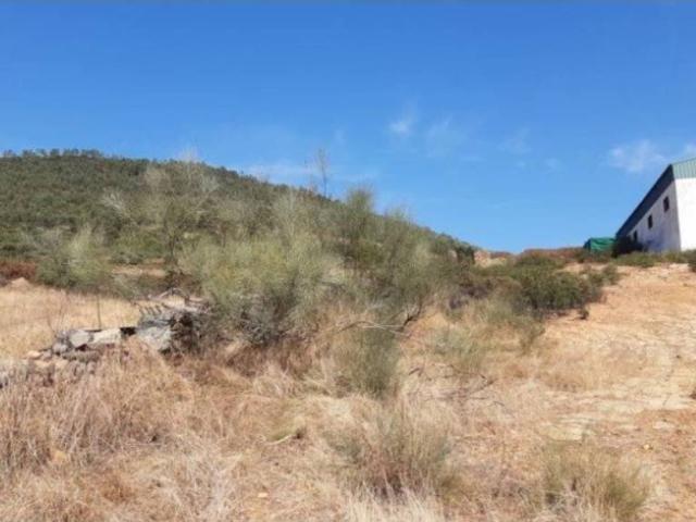 Terreno en venta en Casas De Millán, Extremadura