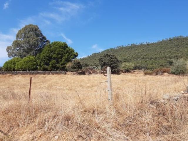 Terreno en venta en Casas De Millán, Extremadura