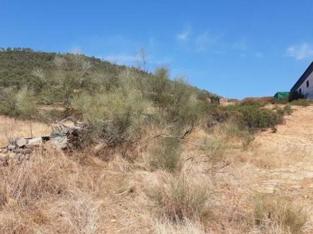 Terreno en venta en Casas De Millán, Extremadura