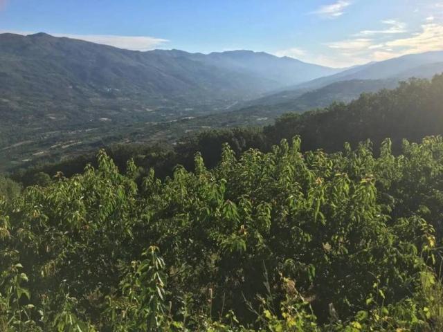Terreno en venta en Casas Del Castañar, Extremadura