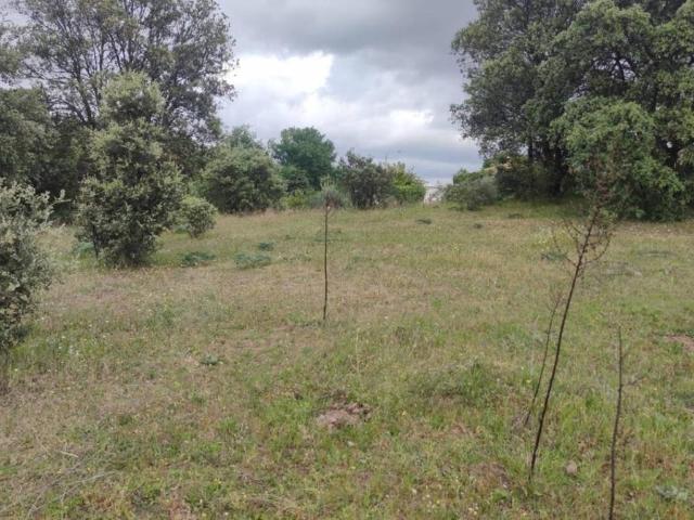 Terreno en venta en Casas Del Castañar, Extremadura