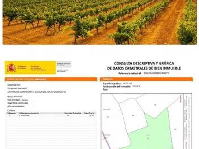 Terreno en venta en Casas-ibáñez, Castilla-La Mancha