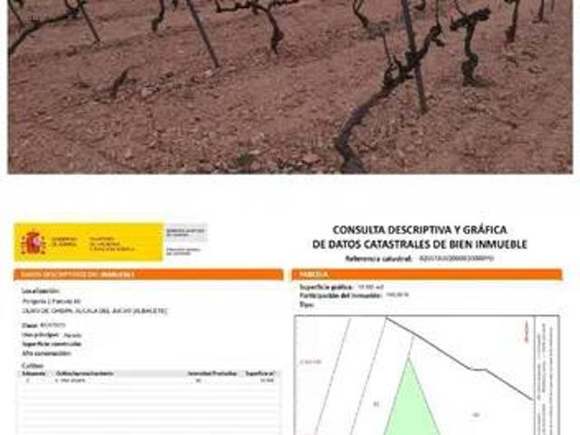 Terreno en venta en Casas-ibáñez, Castilla-La Mancha