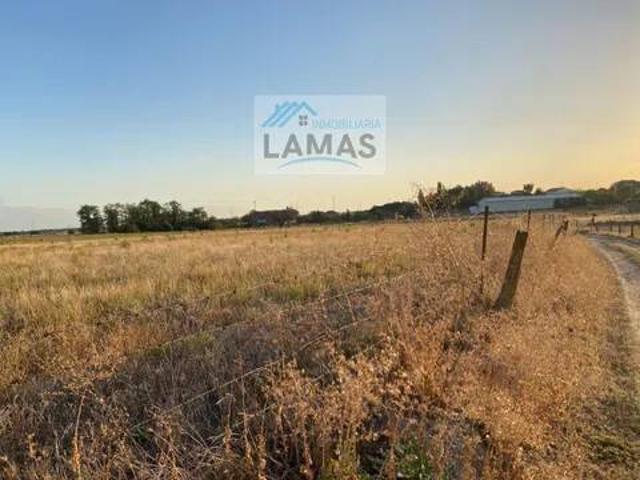 Terreno en venta en Casatejada, Extremadura