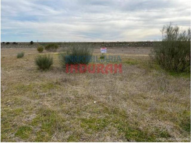 Terreno en venta en Casatejada, Extremadura