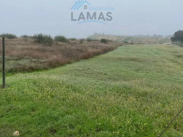 Terreno en venta en Casatejada, Extremadura