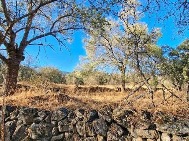 Terreno en venta en Casavieja, Castilla y León