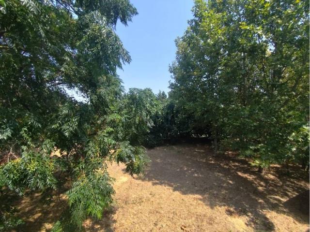 Terreno en venta en Cascante, Navarra