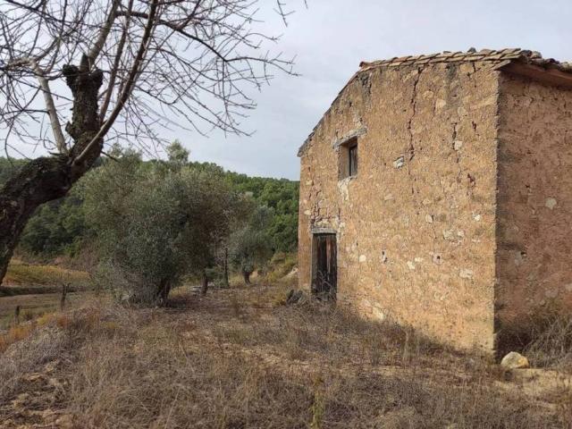 Terreno en venta en Caseres