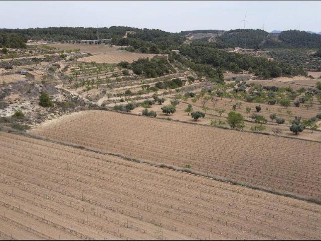 Terreno en venta en Terra Alta, Catalunya