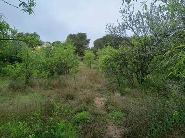 Terreno en venta en el Camp de Túria, Valencia